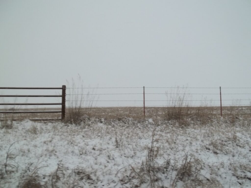 Frosted Fairy’s First Blog Post